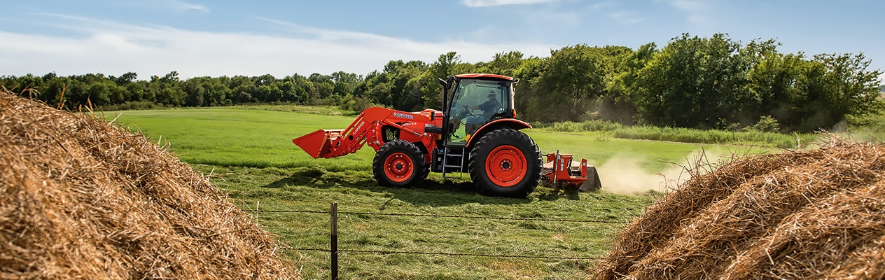 Cattle Equipment