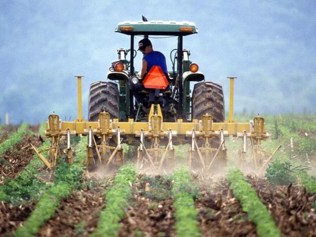 Man Driving Farm Tractor Plowing a Field