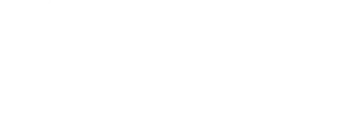 nelson_logo_white