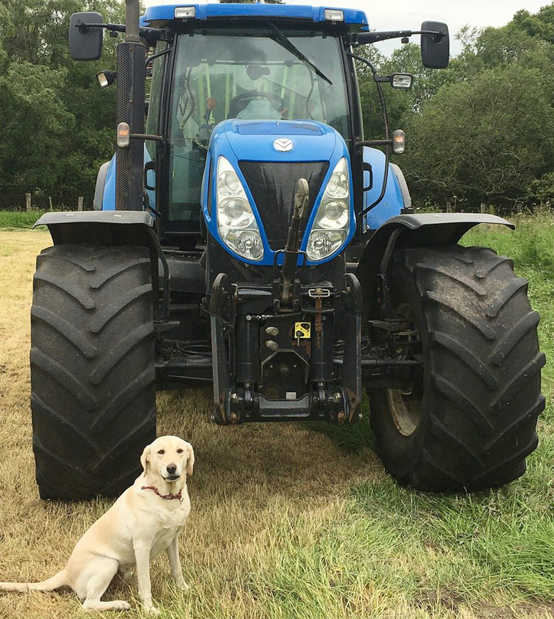 How You Can Find the Right New Holland Compact Tractor for You