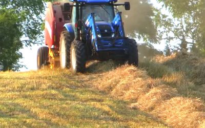 Which New Holland Roll-Belt™ Round Baler is Right for You