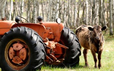 Tractor Life Expectancy: How Many Hours Is a Tractor Good For?