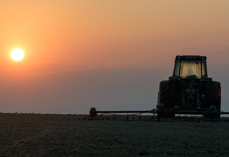 Tractor in Field with Horizon